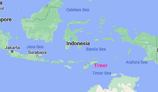 Timor1